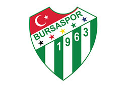 Bursa Spor